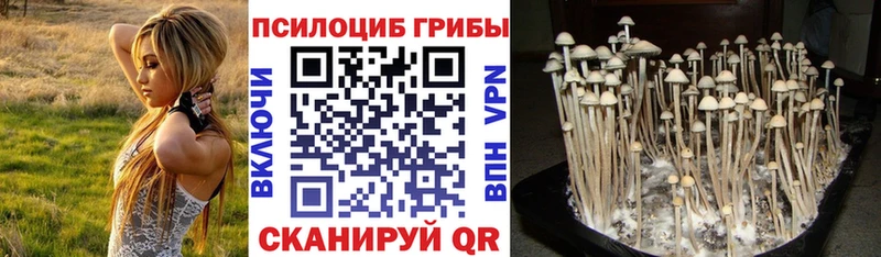Галлюциногенные грибы GOLDEN TEACHER Нестеров