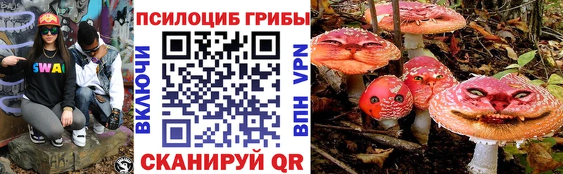 Галлюциногенные грибы мицелий Нестеров